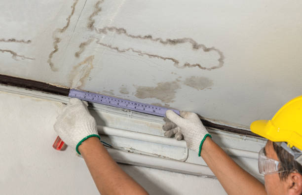 Reliable Basement Water Removal contractor in Louisburg, KS by Water Damage Irwin
